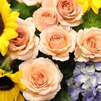 お祝いの花束を届けてくれたんです～