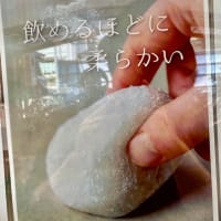 ギュギュっと詰め込む夏の日々