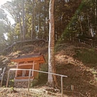 癒しを