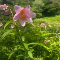 第8回専門ゼミ