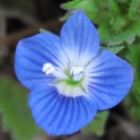 何とか3日目そして義捐金