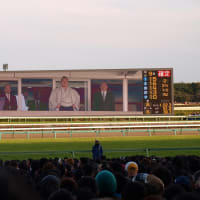 レース回顧＆現地レポート：有馬記念（2010）