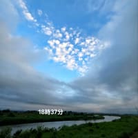 ６月23日月曜日は雨☔