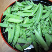 赤飯と野菜頂きました