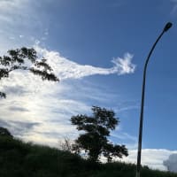 みんなで見上げる空＼(^^)／