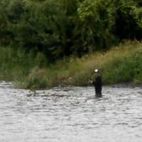 一雨ごとに涼しくなる?