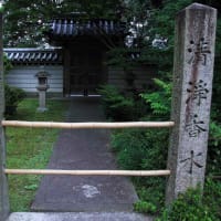 初夏の秋篠寺にて（37枚）　2012年6月28日　（6月のアーカイブ）