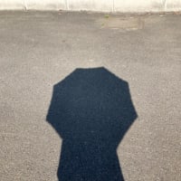 暑くなったりノラオが来たり・・・