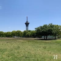 清々しく。良い一日になりますように
