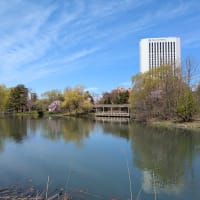 ウォーキング「中島公園」