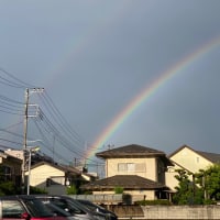 24/06/04  昨日夕方の豪雨の後の虹　と　今日の太陽黒点です。
