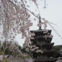 醍醐寺②　伽藍・霊宝館～京都