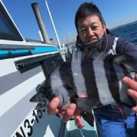 イシダイ好調しゃくり五目