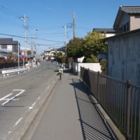 １月の寒川神社：寒川神社境内から参道を歩いてＪＲ相模線宮山駅へ　ＰＡＲＴ２