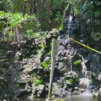 平塚八幡山散策～八幡宮・八幡山洋館・見附台公園