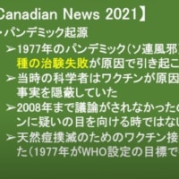 米国政府のウィルス起源調査結果に破壊力のある発信が無い事情が気になる