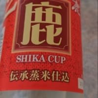 2024年、今年もよろしくお願いします。