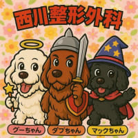 こんなのも作ってくれてます♪