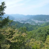 江戸風鈴（　＆　老人とニャン　）の巻