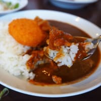 ココイチ香南野市店へ行こう
