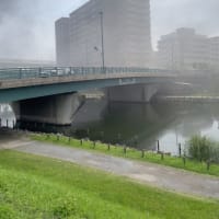 荒川放水路〜旧中川沿いを歩く①