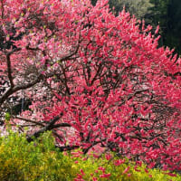 満喫　　阿智村