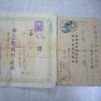 10年に一度の寒波