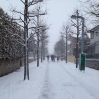 大雪なのに！