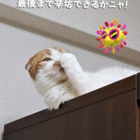 美容室