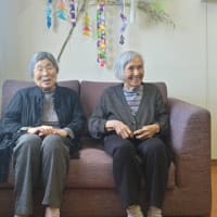 しらかし２　七夕