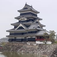 久しぶりの投稿です。