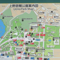 上野の東京芸術大学美術館に「相国寺展」を見に行った    
