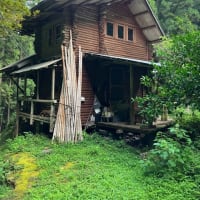 エリ谷自然村の山小屋物語