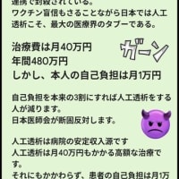 【萌絵さん緊急対談よしりん】【LIVE 警察官ユリさんと日本の未来について語る深田萌絵さん】