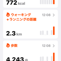 昨日はよく歩いた・・・