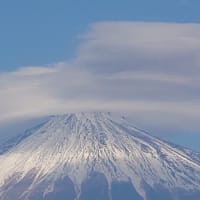 テスト