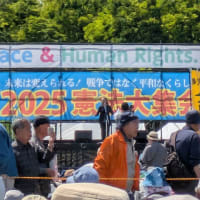 〔803〕5月3日(土)、3万8千人が参集した2025憲法大集会（有明防災公園）、パレードまで完遂しましたよ！