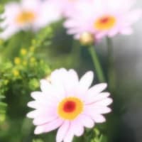 あれから何年・・・？