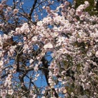 第１７６回　３月１５日（土）