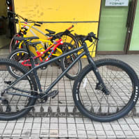 KONA UNIT X 実際に自分で所有するとなると