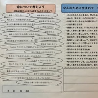 道徳　命~続きです❣️