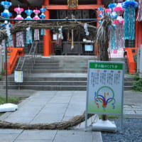 朝の散歩　七夕飾りの熊野神社に茅の輪　　　19