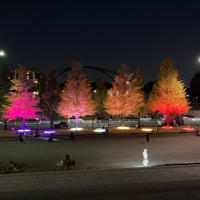 駒沢オリンピック公園〜花と光のファンタジー