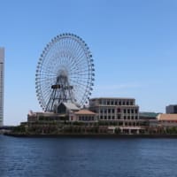 東横フラワー緑道・中華街コース 約6.6km