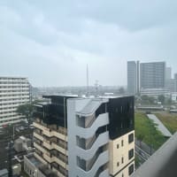 2025年7月4日(金) 母の現状説明と今後のリハビリ計画