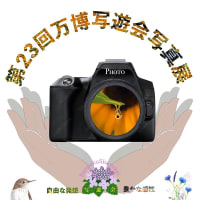 写真展