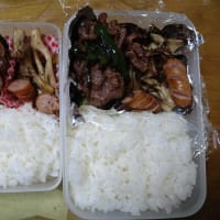 我が家のお弁当　2025/06/22とその前