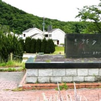 今日は兵庫県三田市の「青野ダム・千丈寺湖」へ行きました