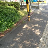 １度きり