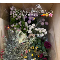 今日いち-2025年2月14日